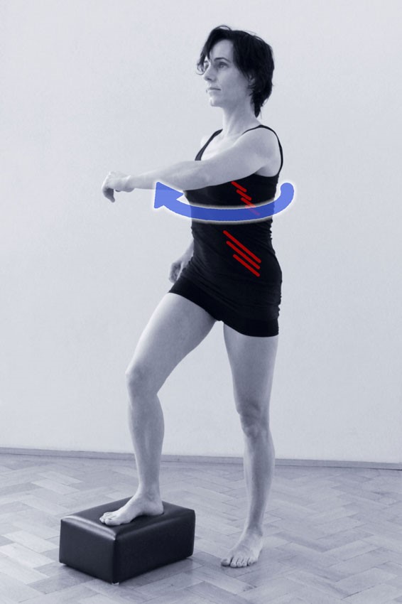 Pilates Rib Rotation About Pilates, Ribs and Spirals by Anna Schrefl – Pilates Intel Online ...
