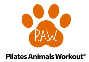 PAW_logo-02 copy